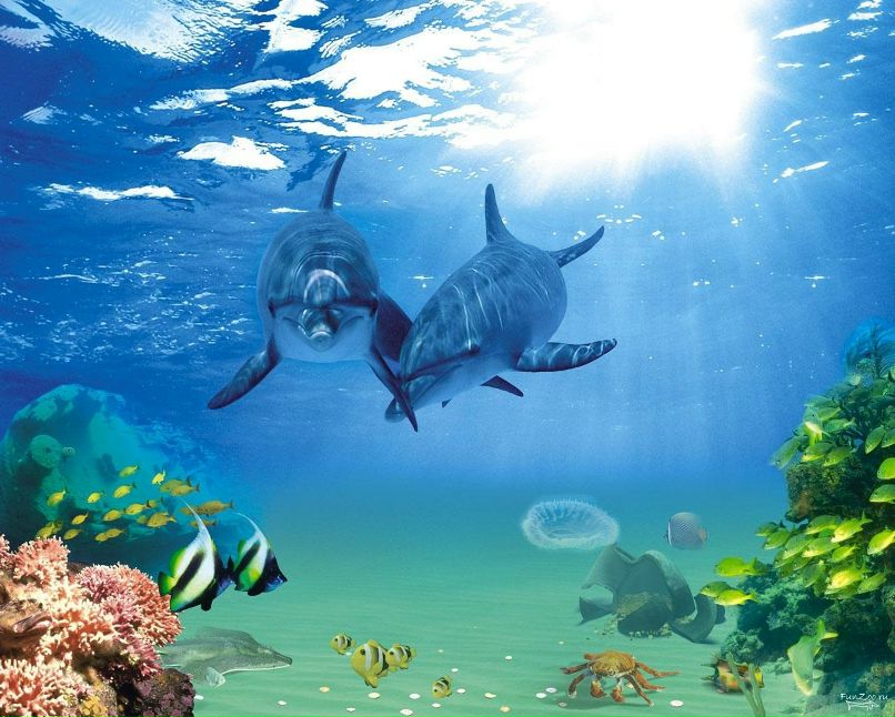 Лира Скрябина | Казань