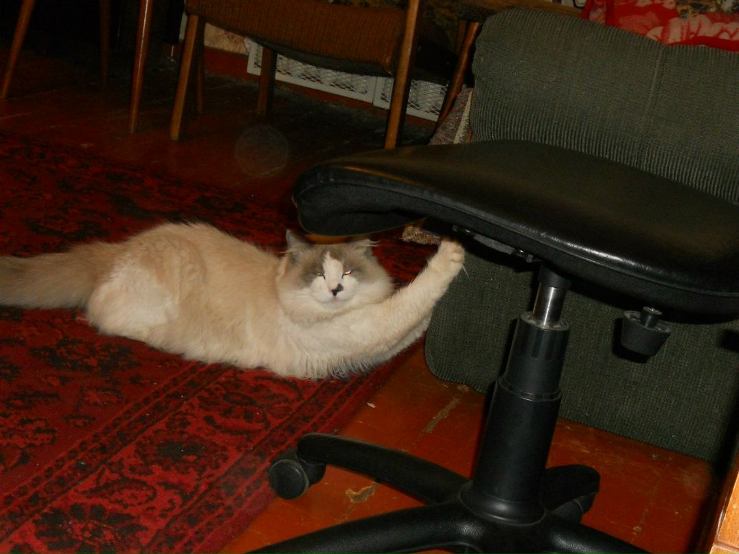 Алла Любовина | Петрозаводск