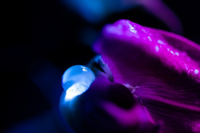 Анастасия Московская | Москва