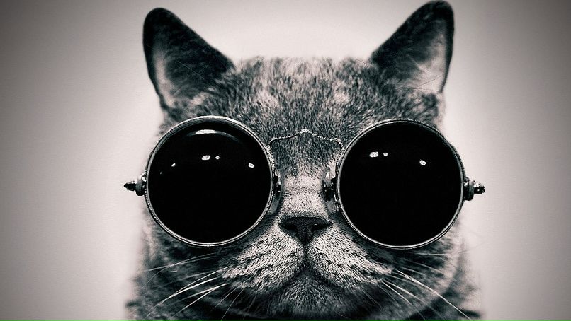 Димарик Козлов | Las Vegas