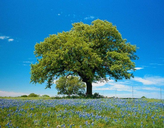 Юрий Смирнов | Нея