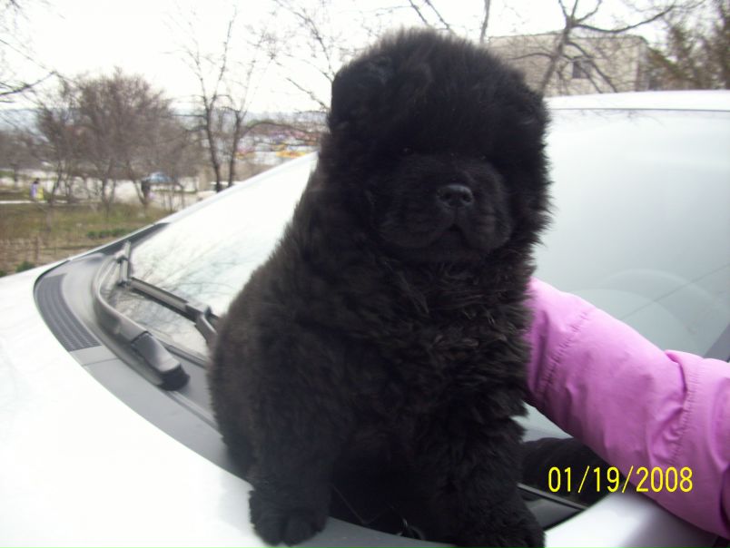 №81, Андрей Мальчик, 45 лет, Бахчисарай №81, Андрей Мальчик, 45 лет, Бахчисарай