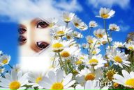 Фотография Лера Новикова