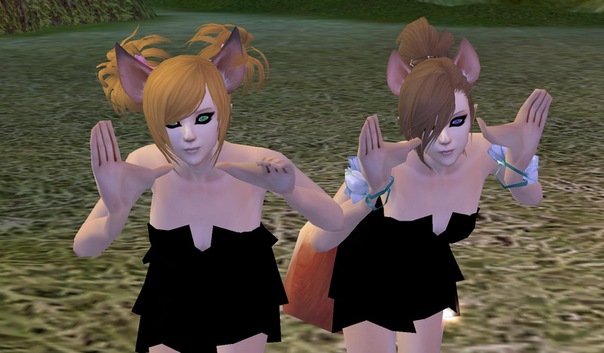 №35, Alexandrina Stepan №35, Alexandrina Stepan