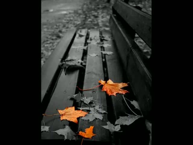 Алена Давиденко фото профиля #3