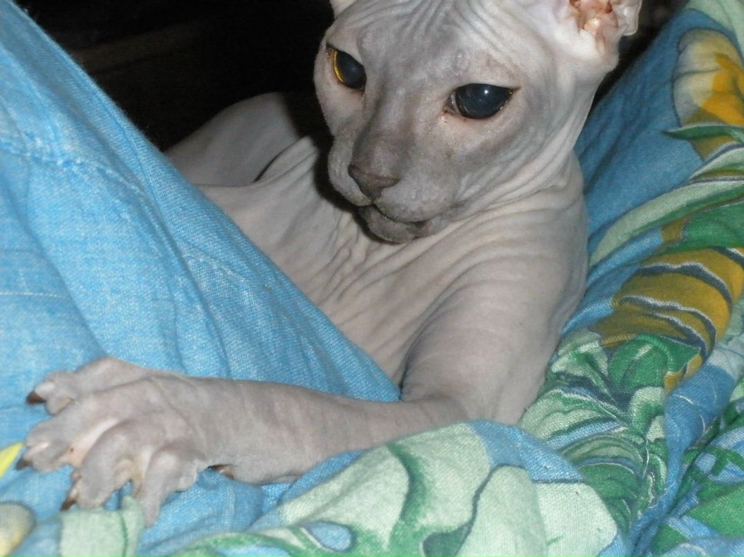 Екатерина Худякова (Татаурова) | Архангельск