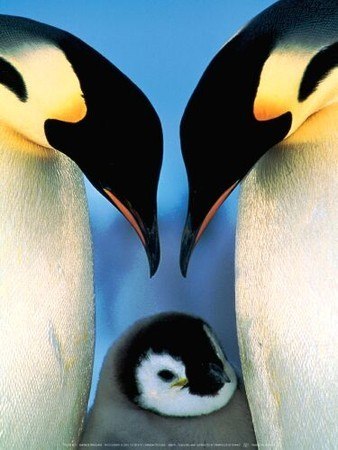 Алёна Микляева | Санкт-Петербург