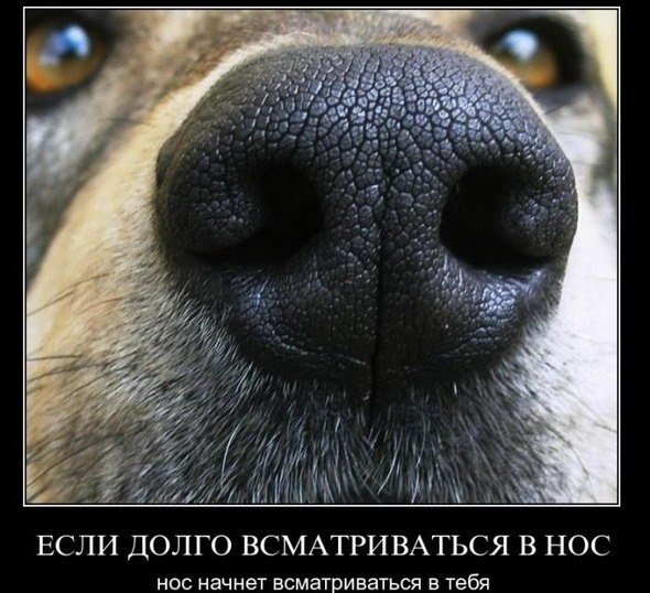 Олег Крайнов | Таллин