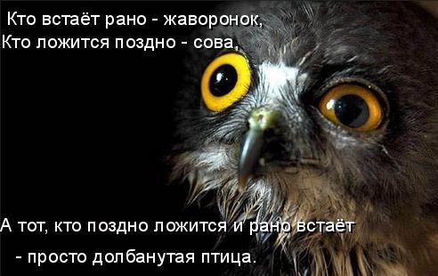 №13, Мария Алёшина, 32 года, Москва №13, Мария Алёшина, 32 года, Москва