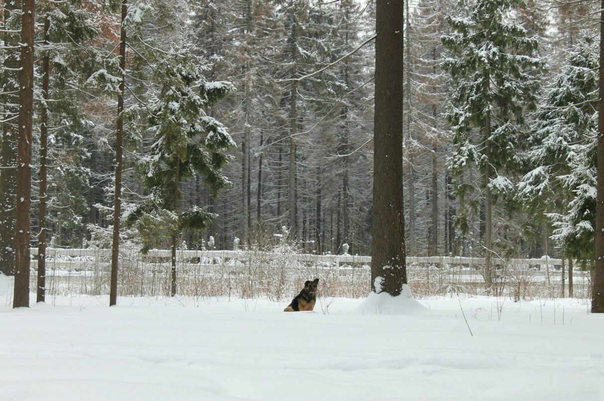 Даша Мануйлова | Москва