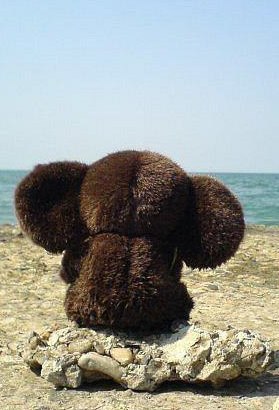 Igor Markus | Минск