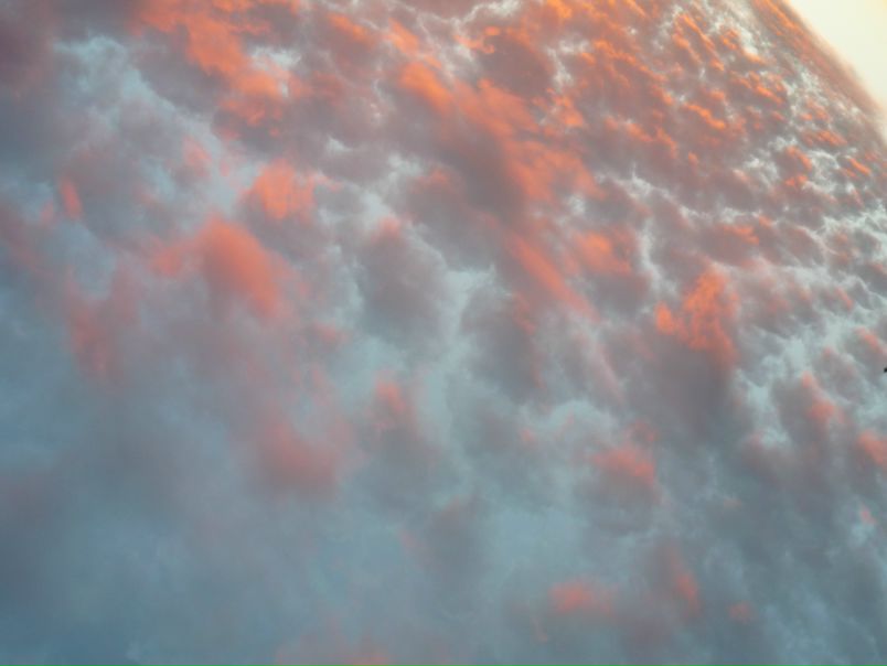 №46, Наталья Чеснокова, Москва №46, Наталья Чеснокова, Москва