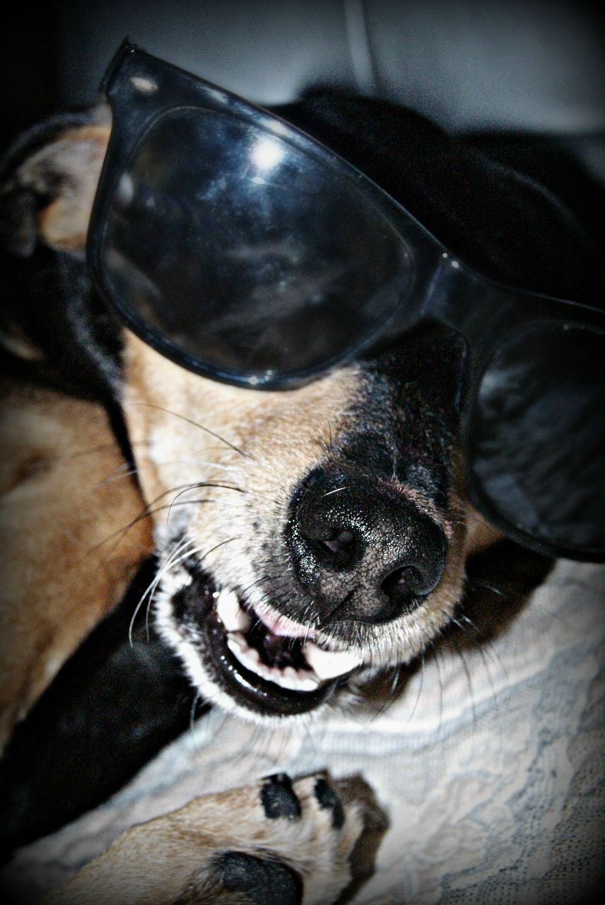 Кристинка Приймак | Киев