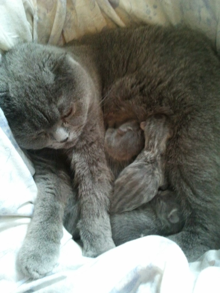 Вова Хомченко | Москва