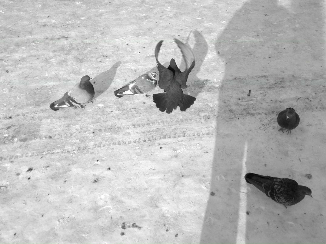 Вова Усанов | Петровское