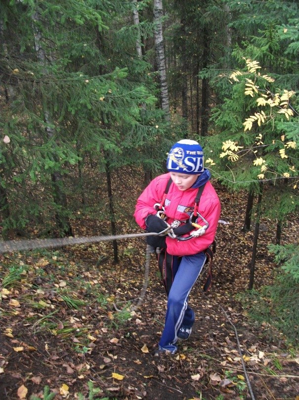 Галина Гусева | Сокол