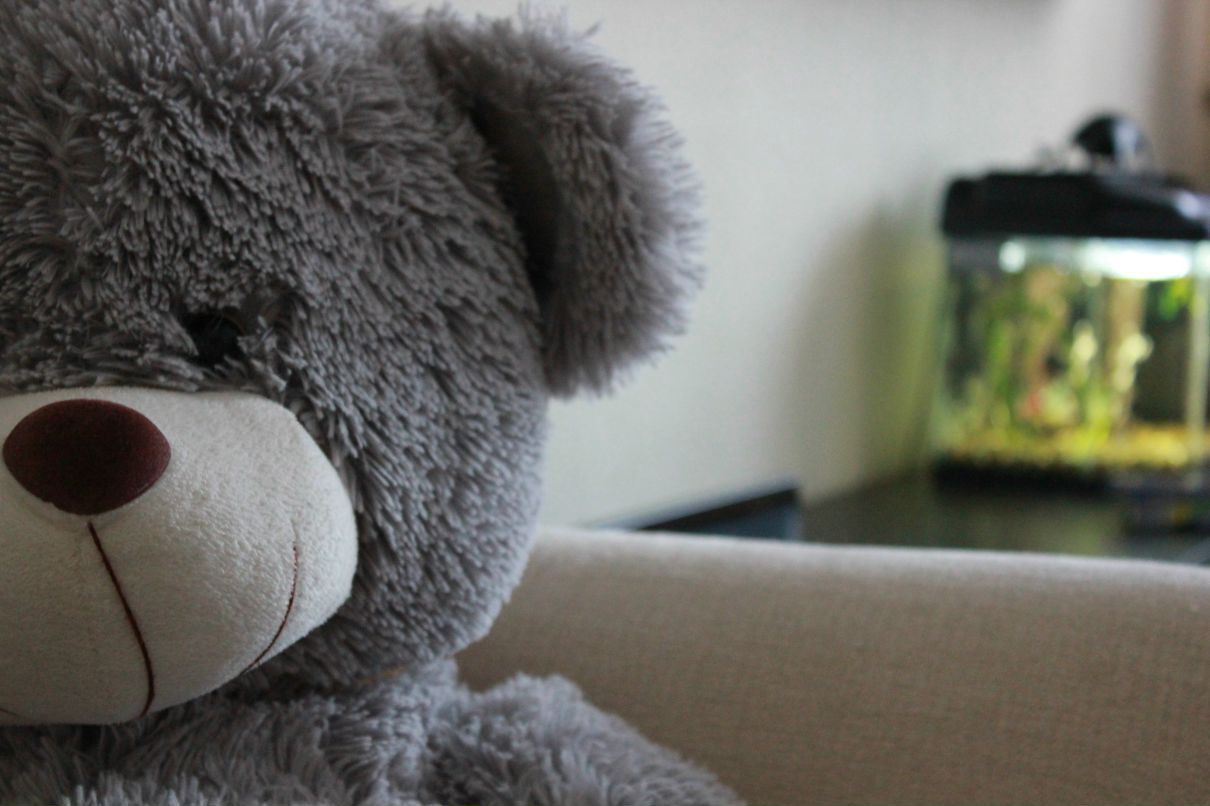 Геннадий Локтев | Ступино