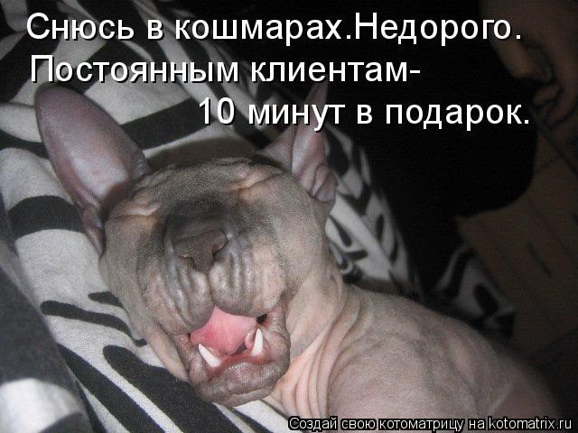 Ольга Авдеева | Санкт-Петербург