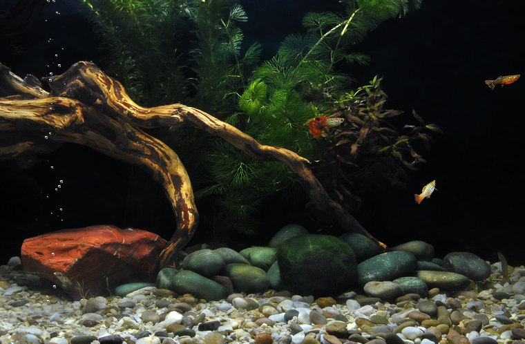 Илья Макашутин | Санкт-Петербург