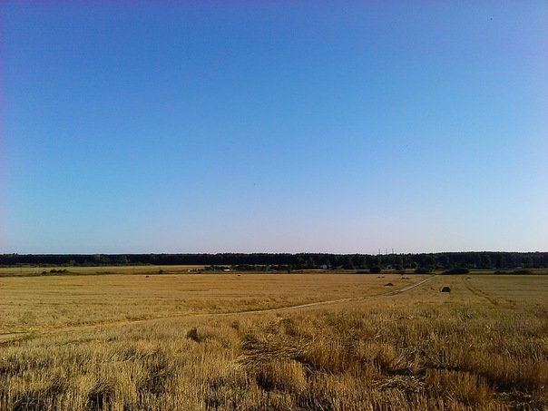 №42, Георгий Утлинский, Ярославль №42, Георгий Утлинский, Ярославль