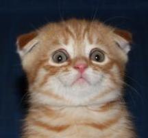 Виталик Хаматов | Москва