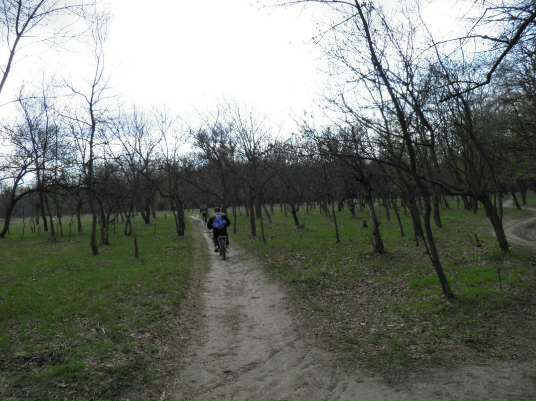 Александр Маласай | Днепр (Днепропетровск)