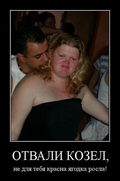 Андрей Андрэйсен | Могилёв