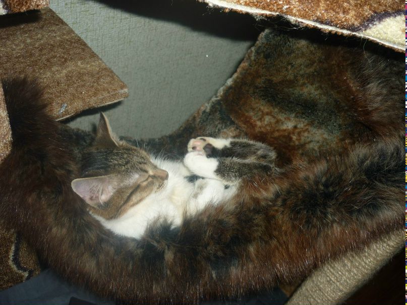 Sasha Budnikov | Сосногорск