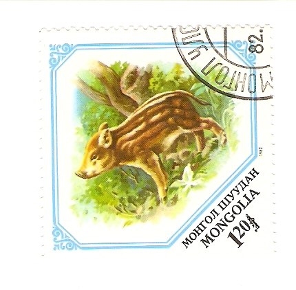 Жека Карпичев | Череповец