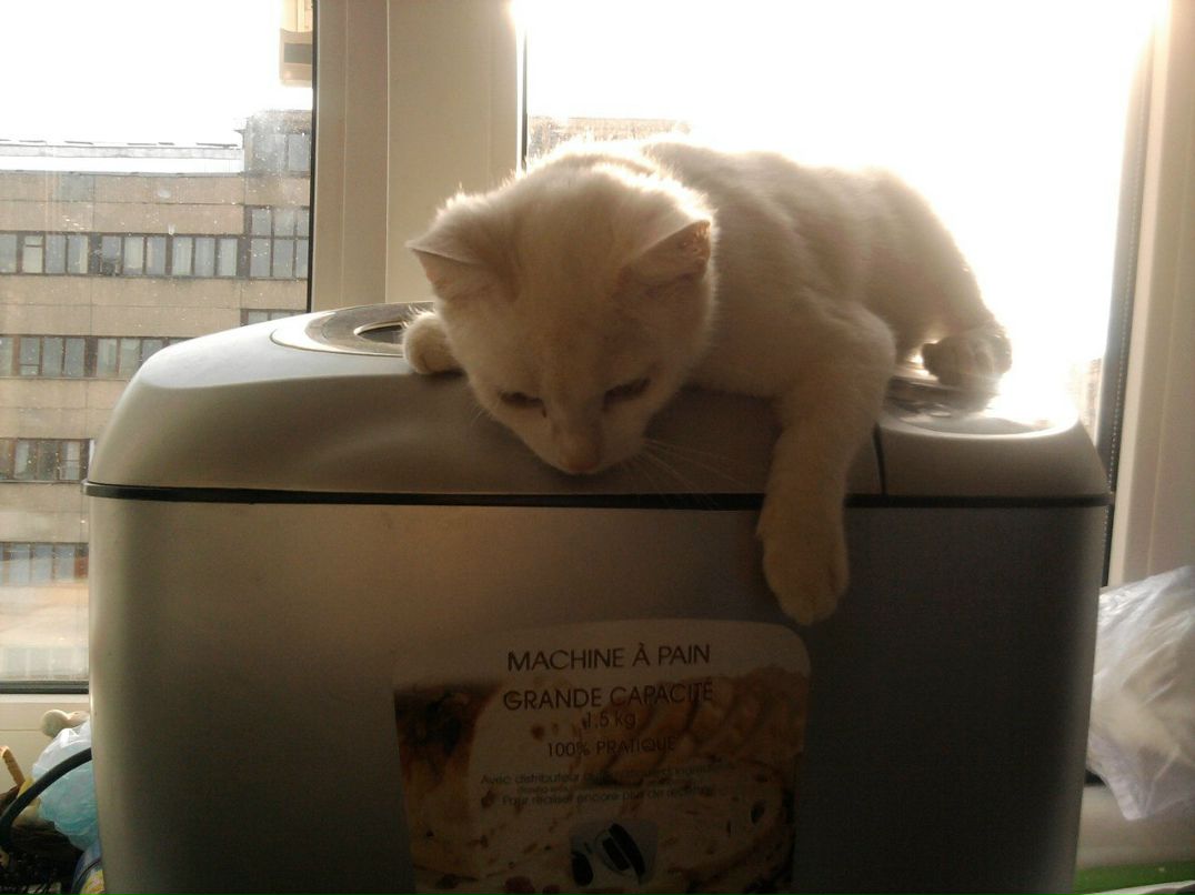 Анна Меркулова Александровна | Харьков