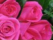 Юлия Прожорина | Шахтерск