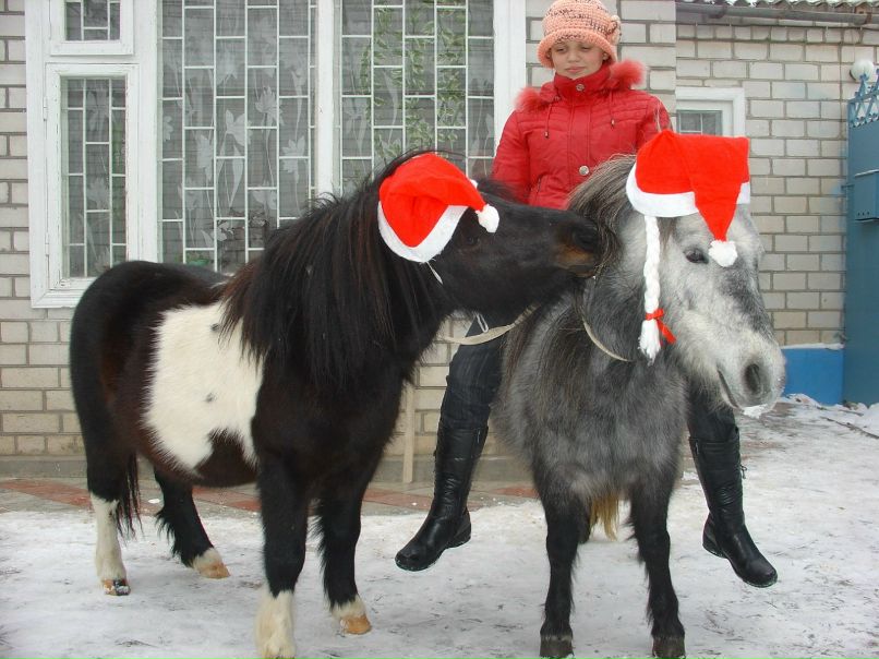 Алёна Быстрова | 