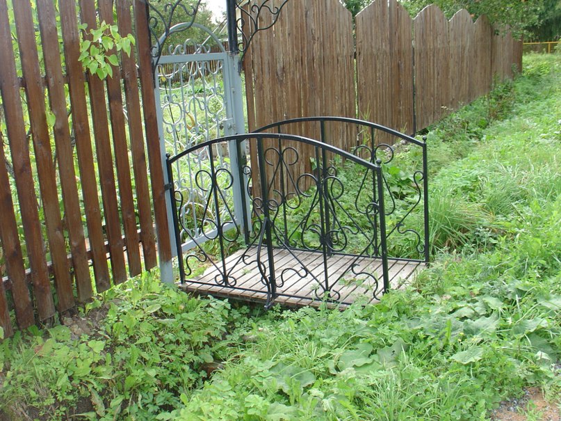 Александр Трошин | Санкт-Петербург