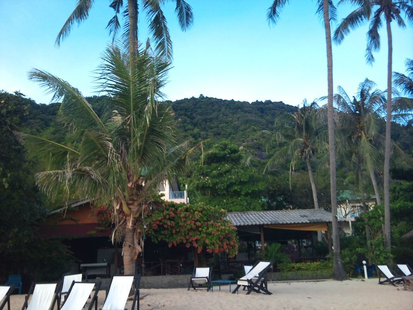 Виктория Калюжина | Москва