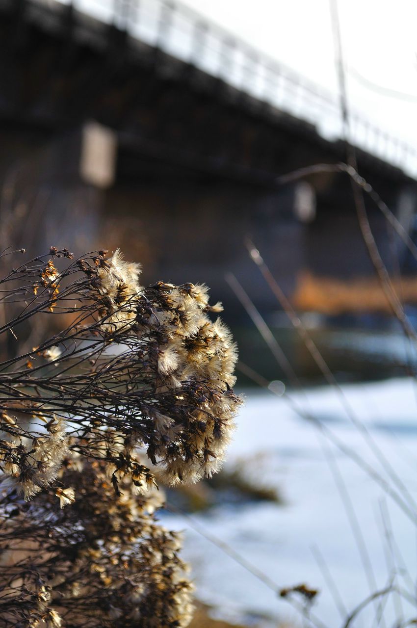 Андрей Мяус | Алчевск