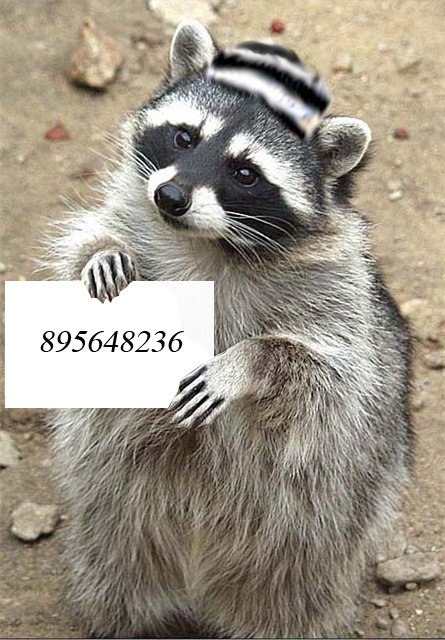 Денис Марков | 