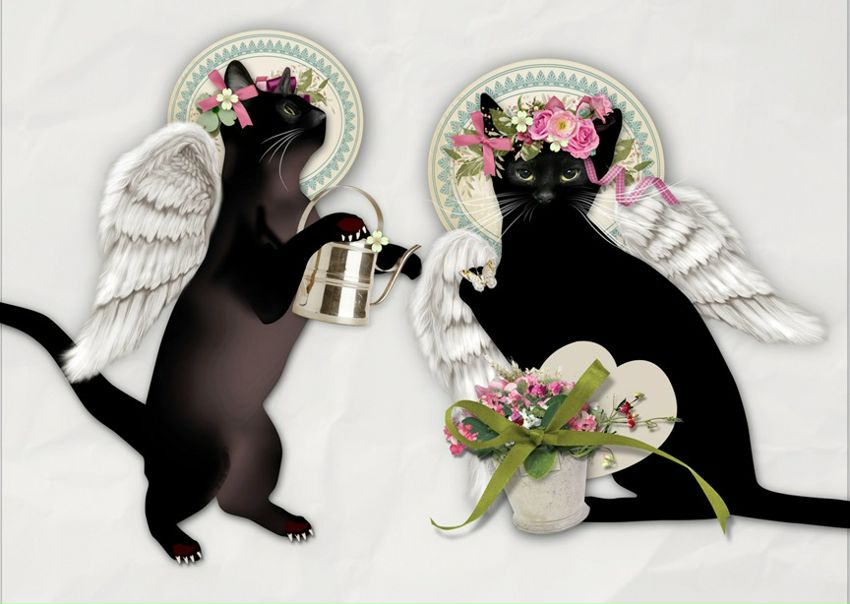 №43, Алена Данченко, Одесса №43, Алена Данченко, Одесса