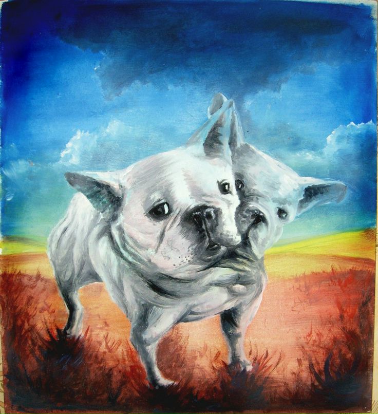 Вася Шихарев | Дзержинск