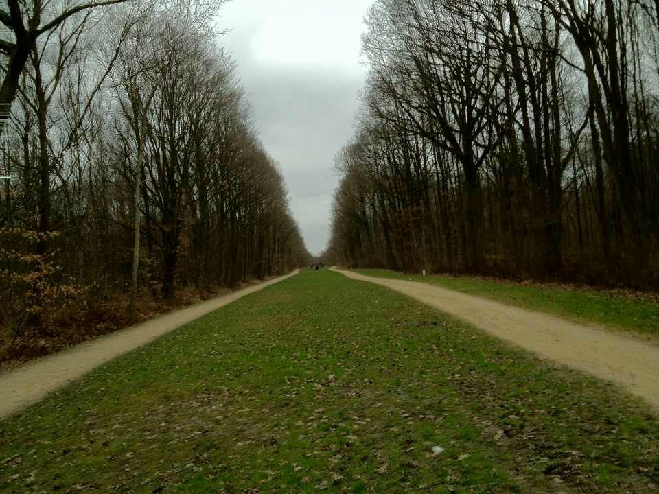 Катюша Рукавишникова (Esmariel) | Москва