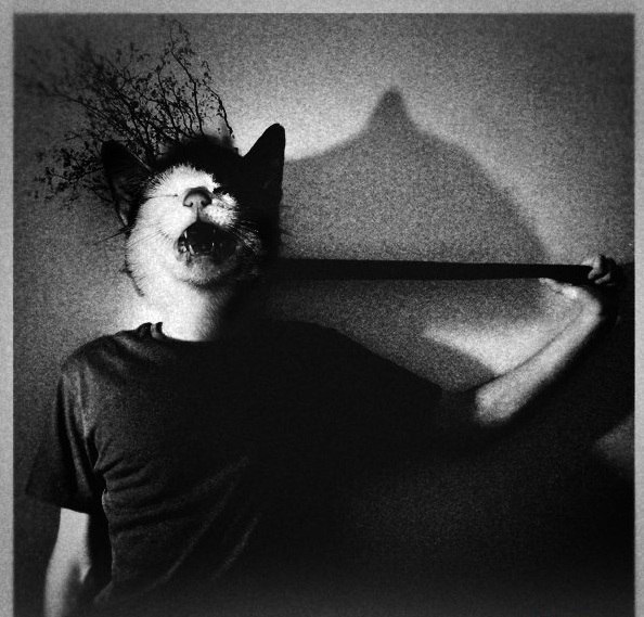 Stigmat Stigmatoff | 