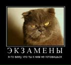 Фотография Иван Коваленко