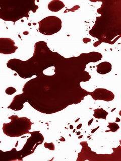 Миша Кунов Дураковский | Москва