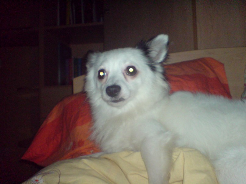 Ольга Лабанова | Москва