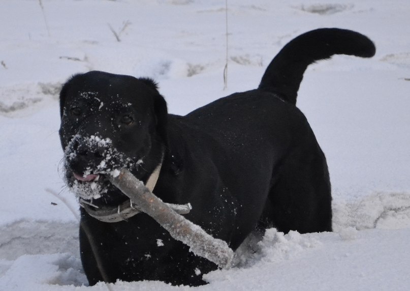 Илья Миколайчик | Москва