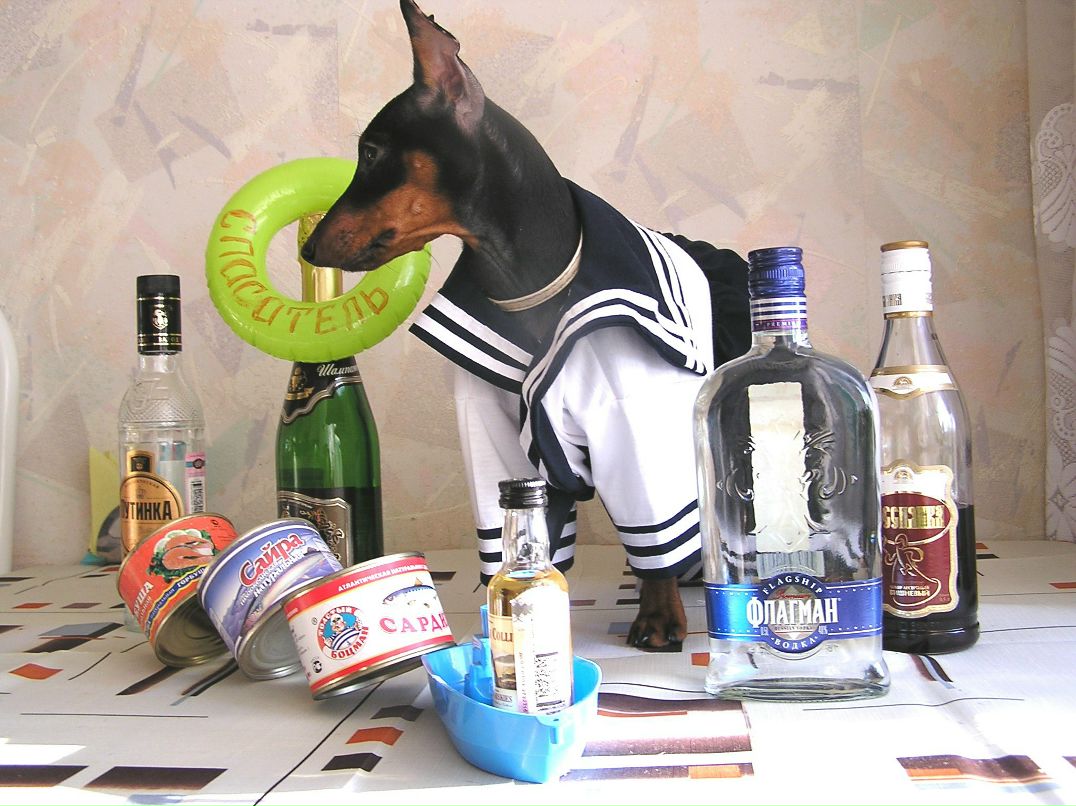 Елена Барабанова | Санкт-Петербург