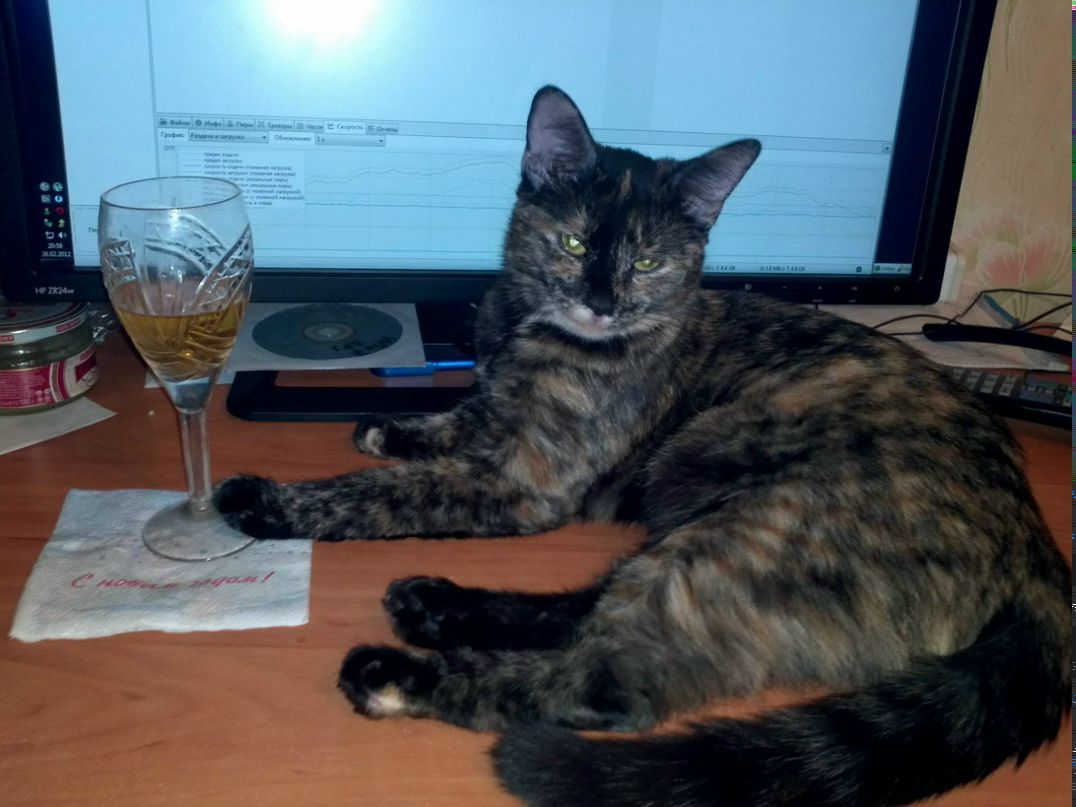 Антон Швец | Клин