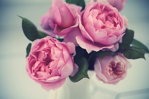 Kristina Khalidi | Praha