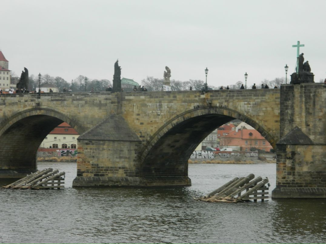 Ксения Никифорова | 