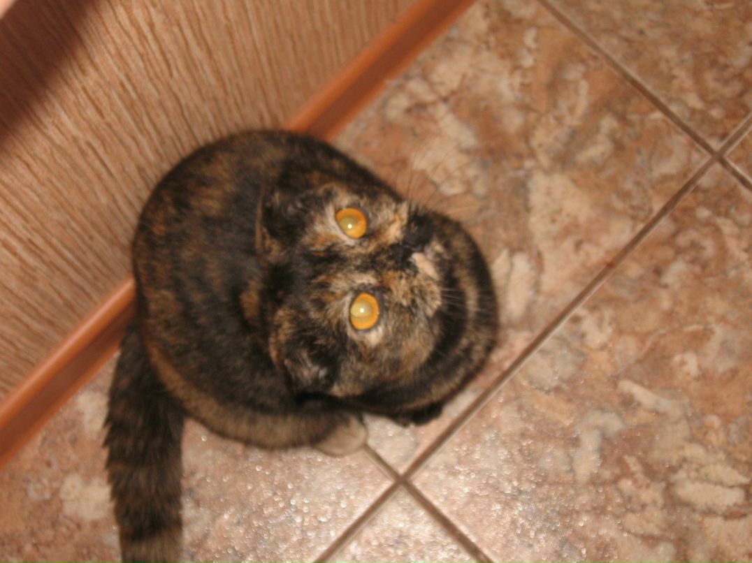 Марина Бахова | Санкт-Петербург