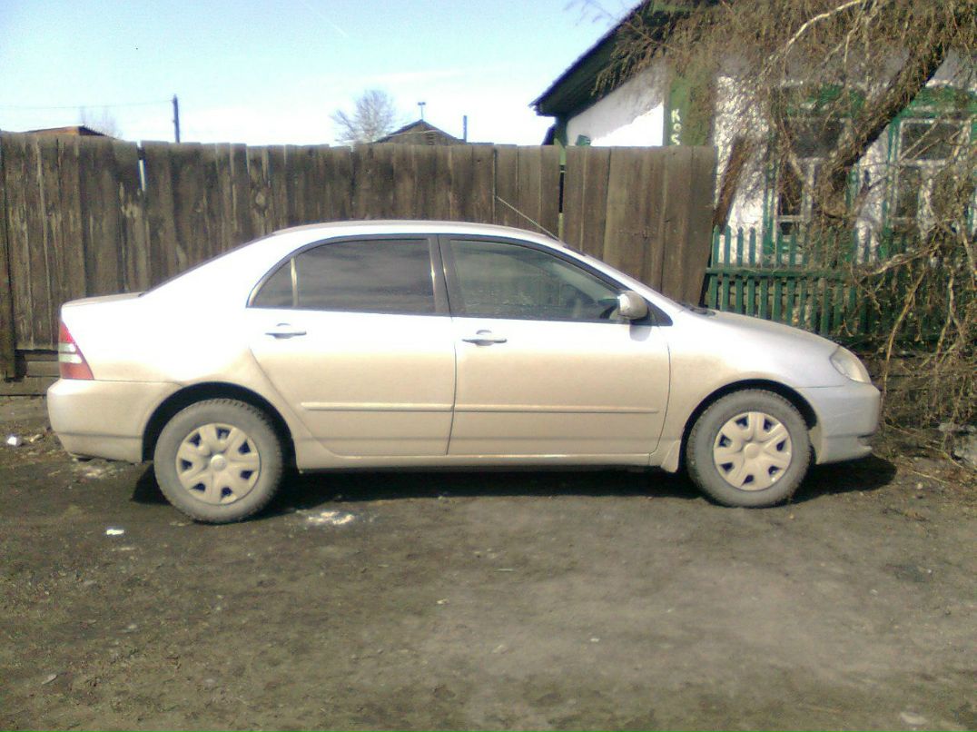 Рустам Павлов | Кызыл